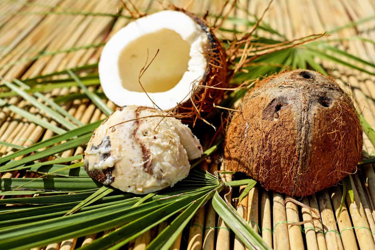 Poudre d'eau de coco bio - Rafraîchissante et nutritive – Z Natural Foods